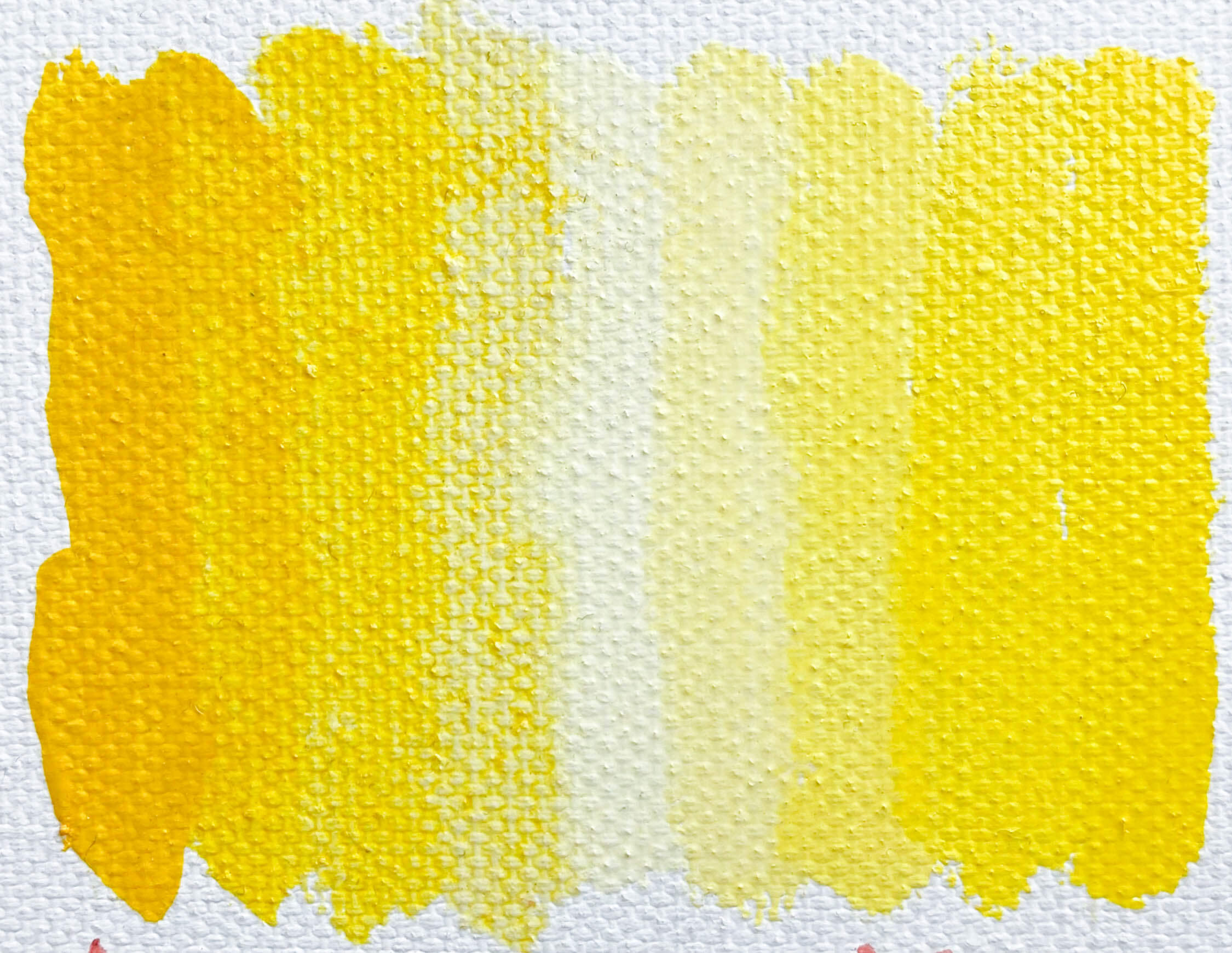 Amarillo Hansa Medio PY97