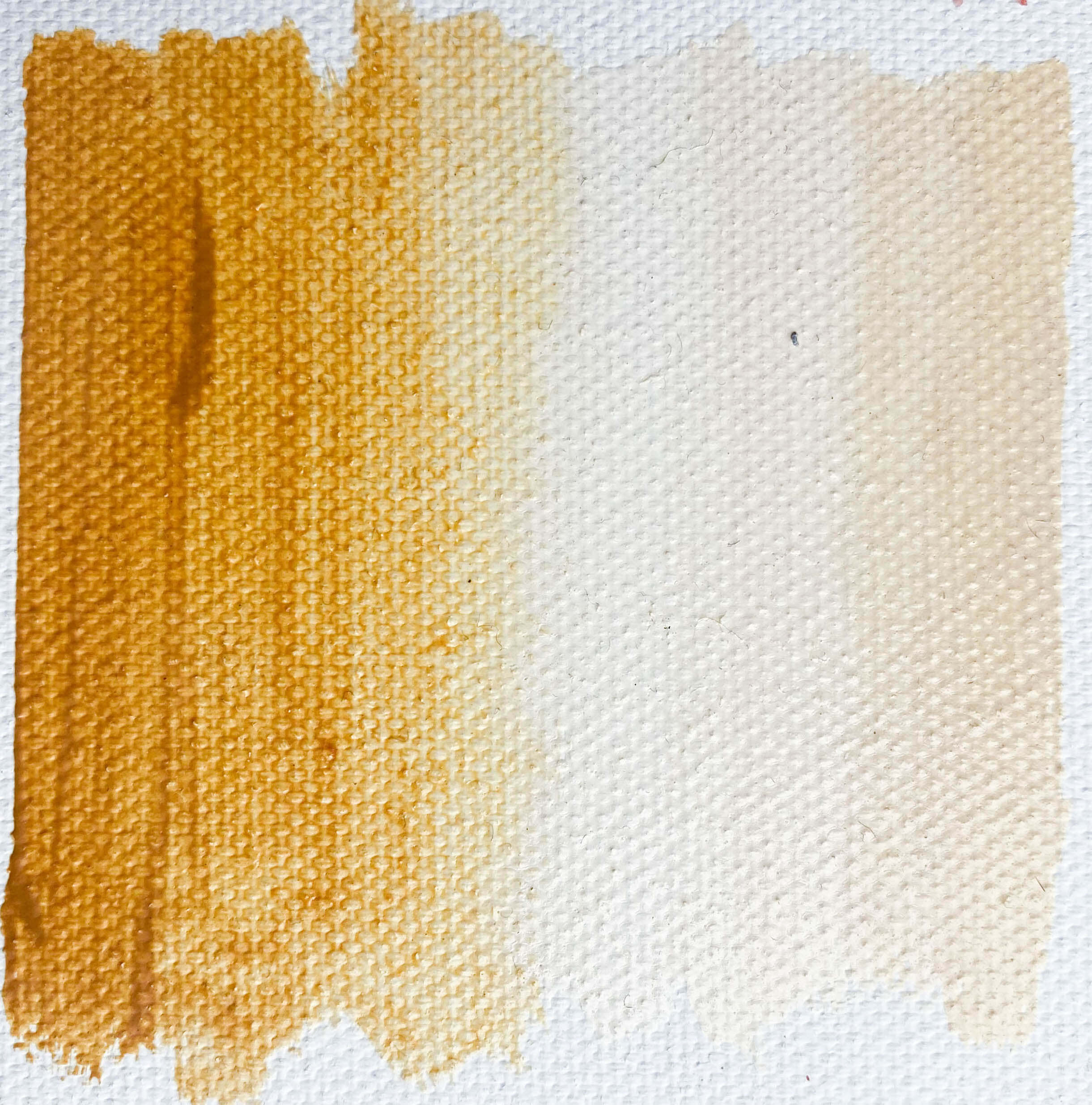 Óleo Yellow Ochre Light PY43