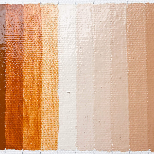 Óleo French Ochre Havane PY43