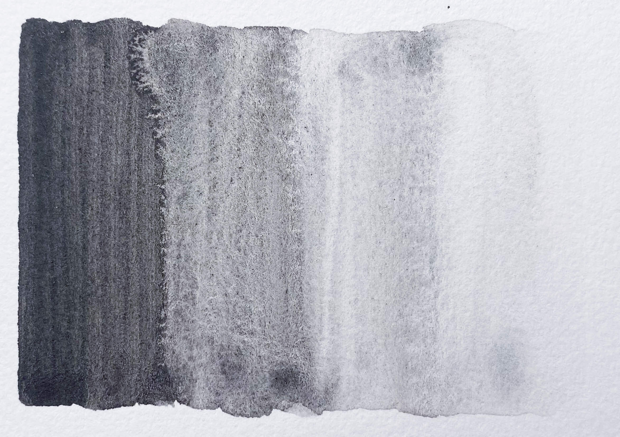 Grey Ochre PBk11 - Image 3